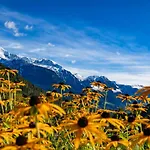 Agroturismo Bauernhof Vorderstiedler *