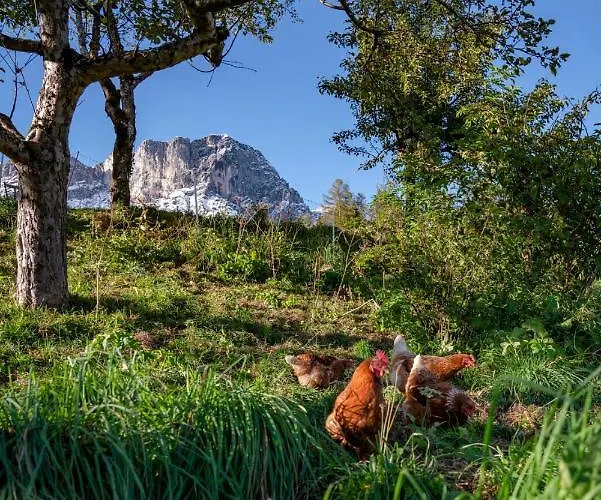 Bauernhof Vorderstiedler Farma