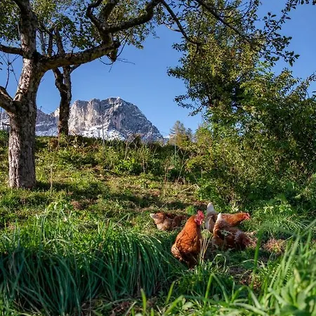 Bauernhof Vorderstiedler 팜스테이