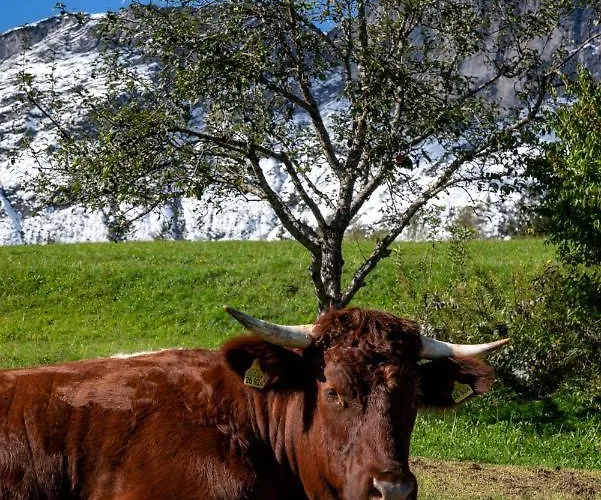Bauernhof Vorderstiedler Séjour à la ferme *