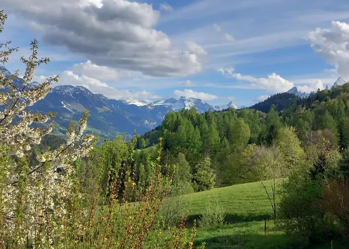 Bauernhof Vorderstiedler